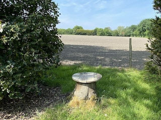 Holiday house Gapinge Outdoor Recording 22