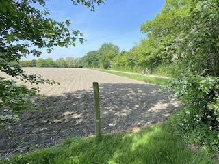 Holiday house Gapinge Outdoor Recording 17