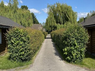 Chalet Walsoorden Environnement 13
