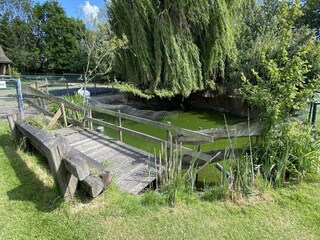 Chalet Walsoorden Ambiente 14