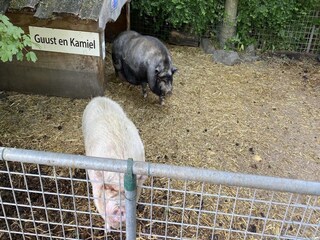 Chalet Walsoorden Entorno 11