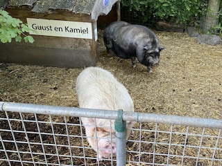 Chalet Walsoorden Outdoor Recording 25