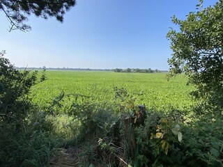 Villa Kamperland  22