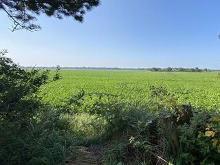 Maison de vacances Kamperland Enregistrement extérieur 25