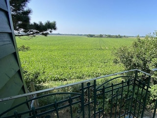 Ferienhaus Kamperland Außenaufnahme 23