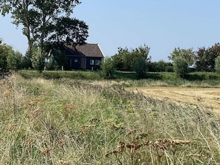Ferienhaus Kamperland Außenaufnahme 25