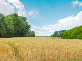 Appartamento per vacanze Westkapelle  35