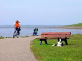 mit Hund am Deich in Vollerwiek