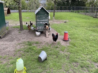 Apartamento Aardenburg  25