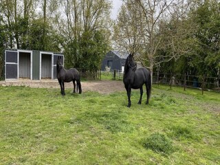 Apartamento Aardenburg  26