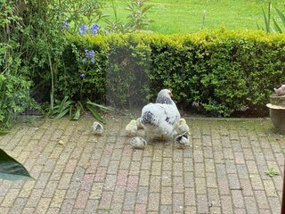 Appartamento Aardenburg  30