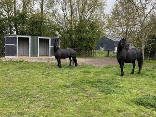 Vakantiehuis Aardenburg Buitenaudio-opname 25