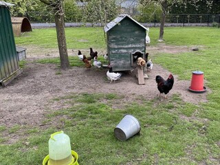 Vakantiehuis Aardenburg Buitenaudio-opname 26