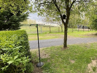 Ferienhaus Aardenburg Außenaufnahme 25