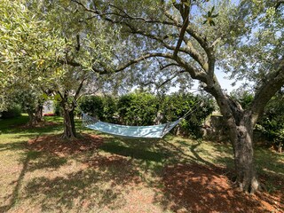 Apartment Nova Vas Environment 31