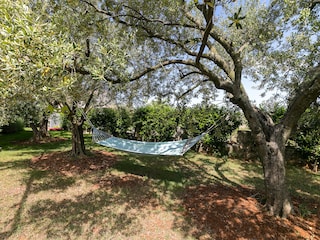 Apartment Nova Vas Umgebung 31