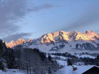 IMG_3278