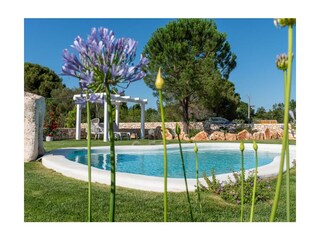 Wunderschöner Poolbereich