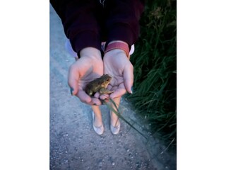 Achensee, Ferienhaus, Auszeit, Haus Wandern