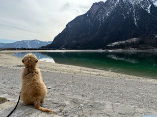 Ferienhaus Auszeit, Achensee, Wandern mit Hund