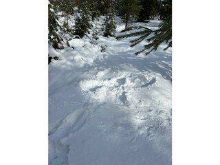 Haus Auszeit, Achensee, Wander,  Schneeschuhe