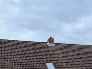 Ferienwohnung Kellenhusen Ausstattung 10