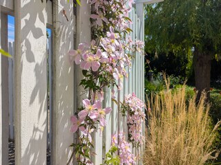 Ferienwohnung Dahme Ausstattung 2