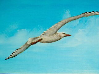 Ferienwohnung Dahme Ausstattung 13