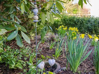 Ferienwohnung Dahme Ausstattung 20