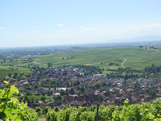 Pfaffenweiler