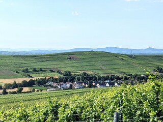 Ortrand  mit Weinbergen