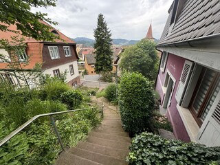 Haus am Hang mit seinem Park