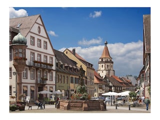Ferienwohnung Gengenbach Umgebung 14