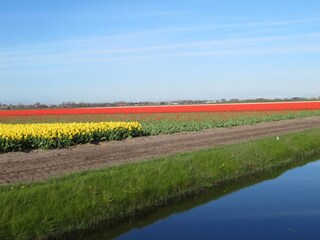 Vakantiehuis Julianadorp Omgeving 20