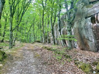 Vakantiehuis Hunnebostrand  14