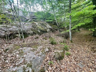 Vakantiehuis Hunnebostrand  10