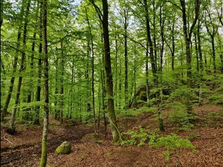 Vakantiehuis Hunnebostrand  6