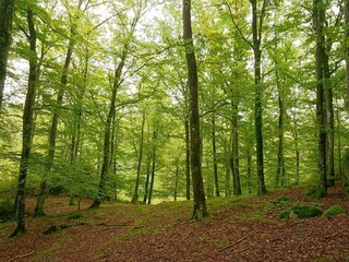 Vakantiehuis Hunnebostrand  30