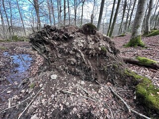 Vakantiehuis Hunnebostrand  15