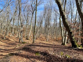 Vakantiehuis Hunnebostrand  31