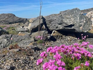 Holiday house Göteborg Outdoor Recording 16
