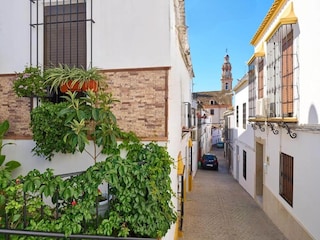Type de propriété : Habitation troglodytique La Puebla de los Infantes Enregistrement extérieur 3