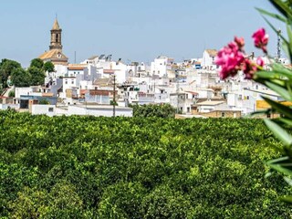 Höhlenwohnung La Puebla de los Infantes Umgebung 25