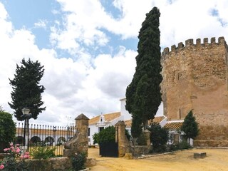 Höhlenwohnung La Puebla de los Infantes  34