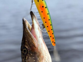 Vakantiehuis Molkom Buitenaudio-opname 5