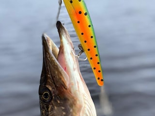 Holiday house Molkom Outdoor Recording 5