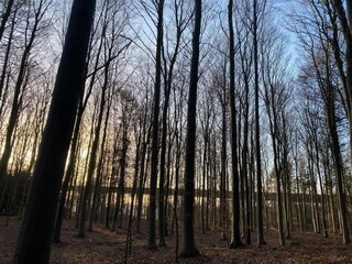 Casa de vacaciones Vordingborg  31