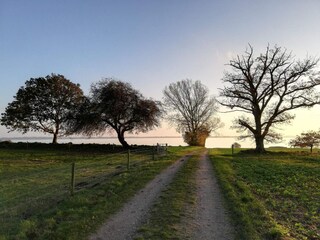 Ferienhaus Vordingborg  33