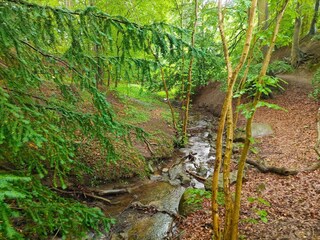 Casa per le vacanze Vordingborg  36