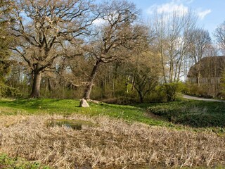 Casa per le vacanze Vordingborg  13